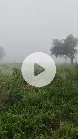 #RiyanBadi #2026रिया बड़ी नागौर में आज सुबह 11 बेजे तक रहा खतरनाक कोहरा