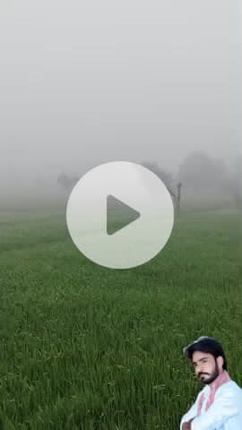 कोहरे ने मचाया हड कंप जय किसान जय जवान जय जय राजस्थान#2026aquariushoroscope