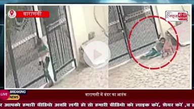 वाराणसी में बंदर का आतंक, मासूम पर हमला, नुकीले दांतों से बदन किया जख्मी, CCTV में कैद हुई घटना
#Varanasi #MonkeyAttack