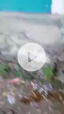 बल्ह: विकास खंड बल्ह की 'नशा मुक्त पंचायत' लुहाखर में शराब बिक्री के खिलाफ पंचायत प्रधान की कड़ी कार्रवाई, वीडियो हुआ वायरल