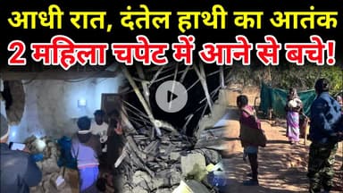 जशपुर में दंतैल हाथी का आतंक, दो दिनों में 8 घर तबाह, ग्रामीणों में दहशत #jashpursipahi #trending