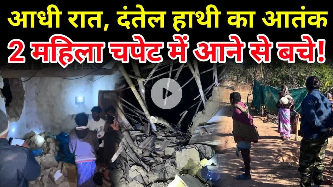 जशपुर में दंतैल हाथी का आतंक, दो दिनों में 8 घर तबाह, ग्रामीणों में दहशत #jashpursipahi #trending