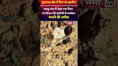 सूरजगढ़ क्षेत्र में #पैंथर का मूवमेंट! वन विभाग की ग्रामीणों से सतर्क रहने की अपील #panther