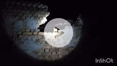 କେନ୍ଦୁଝର ସଦର: ପାଟଣା ରେଞ୍ଜ ବୁଢାନୁଆପଡା ଗାଁ ରେ ଗୋଟିଏ ଘର ଭାଙ୍ଗି ଛି ଗୋଠଛଡା ଦନ୍ତା ହାତୀ