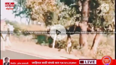 मोहगाव बना तस्करी का मुख्य अदा #