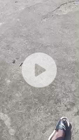 जयपुर नजर ऑल पब्लिक धन्यवाद लाइव@##लावारिस होंगे लो म