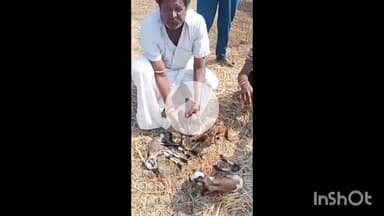 గన్నేరువరం: ఖాసీంపేట గ్రామంలో వింత చోటు చేసుకుంది ఒకే ఈతలో నాలుగు గొర్రె పిల్లలకు జన్మ నిచ్చిన గొర్రె