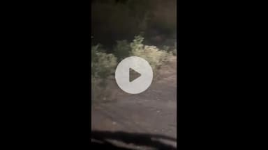 શિનોર: શિનોરમાં દીપડા ના આંટાફેરા શરૂ થતા લોકોમાં ફફડાટ