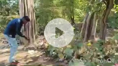 ଧମା: ହୋତପାଲ ଡେମ ପିକନିକ୍‌ ସ୍ପଟ କୁ ପଲିଥିନ ମୁକ୍ତ ପାଇଁ ବନ ବିଭାଗର ସଫେଇ କାର୍ଯ୍ୟକ୍ରମ