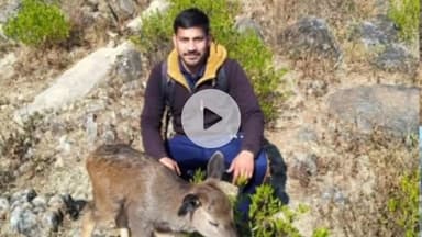 मकरीड़ी: द्रुब्बल में कुत्तों के झुंड से घिरे सांभर की बचाई गई जान, ग्रामीणों और वन विभाग की सजगता ने पेश की मानवता की मिसाल