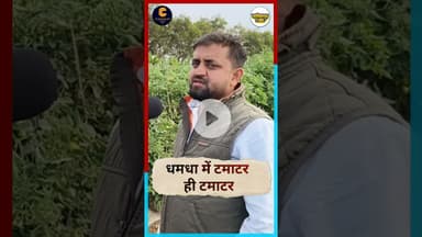 #durg #dhamdha में टमाटर ही टमाटर #chhattisgarh #latestnews #news #live