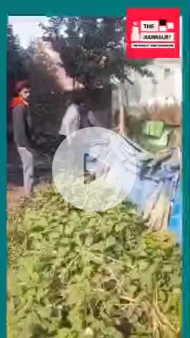 दलित की जमीन पर जबरन अवैध निर्माण कर रहे दबंग दर दर भटक रहा पीड़ित नही मिल रहा न्याय
#ayodhyanews #viralvideo #news