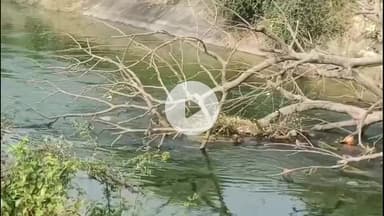 કરજણ: તંત્રના પાપે પરિક્રમાવાસીઓ પરેશાન