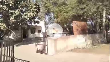 जुलाना: जुलाना में बढ़ती ठंड से पशुपालक परेशान, चिकित्सक ने बताए बचाव के उपाय