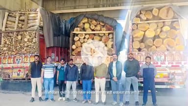 बिछीवाड़ा: गुजरात तस्करी के लिए जा रही अवैध गीली लकड़ी से भरे 3 ट्रक जब्त, वन विभाग को सौंपी गई जांच