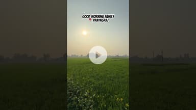 Prayagraj Morning Vibes♥️ #ytshorts #morning #prayagraj