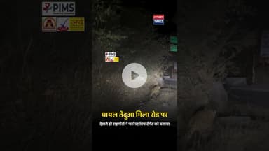 #citizentimes #udaipurnews #citizennews #udaipurlive #citizentimesnews #rajasthannews