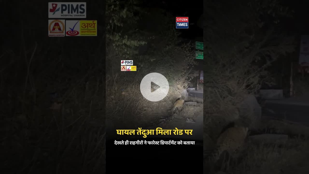 #citizentimes #udaipurnews #citizennews #udaipurlive #citizentimesnews #rajasthannews