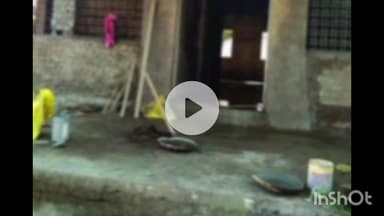 सिंदेवाही: वनविभागाच्या जागेवर ग्रामपंचायत भवनाचे बांधकाम,अनधिकृत बांधकामाच्या चौकशीची मागणी