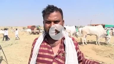 ತಿಕೋಟಾ: ಜಾನುವಾರ ಜಾತ್ರೆಯಲ್ಲಿ ಸಕಲ ವ್ಯವಸ್ಥೆ ಮಾಡಲಾಗಿದೆ : ತೊರವಿಯಲ್ಲಿ ರೈತ ರಸೂಲ್