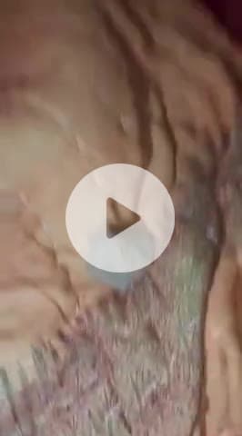 हमारी अरुद में पत्थर गीर @arud पंधना खंडवा में बहुत पत्थर गिर रहे हैं