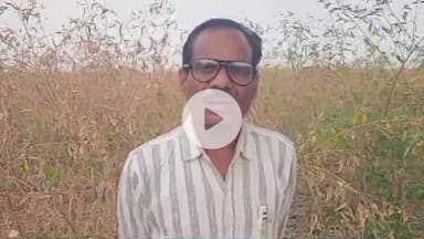 मंगरूळपीर: कृषी अधिकाऱ्याची शेतकऱ्याला मारहाण या व्हायरल व्हिडिओ संबंधी तालुका कृषी अधिकारी सचिन कांबळे यांनी दिले स्पष्टीकरण