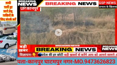 घाटमपुर 
#जगंल की आग बुझते ही बेजुबान पशु#पंछियों को मिली राहत@