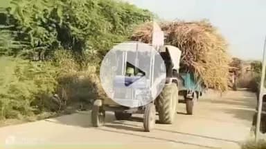 રાધનપુર: ગોતરકા ગામમાંથી રણ વિસ્તારમાં આવેલ વાછડાદાદા મંદિરે 18 ટ્રેક્ટર ઘાસ અને 10,000 પુળા અર્પણ કરાયા