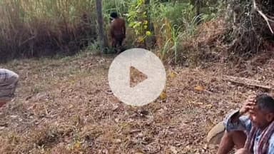 ಸಿದ್ಧಾಪುರ: ಗರಿಗಡ್ಡೆ ಗ್ರಾಮದ ವಿದ್ಯುತ್ ಕಂಬದಲ್ಲಿ ಯುವಕನ ಶವ ಪತ್ತೆ; ಸಾವಿನ ಸುತ್ತ ಅನುಮಾನ