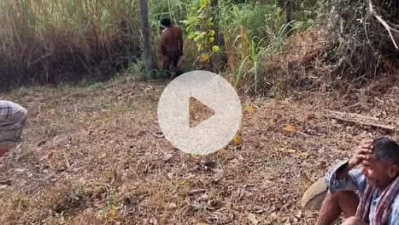 ಸಿದ್ಧಾಪುರ: ಗರಿಗಡ್ಡೆ ಗ್ರಾಮದ ವಿದ್ಯುತ್ ಕಂಬದಲ್ಲಿ ಯುವಕನ ಶವ ಪತ್ತೆ; ಸಾವಿನ ಸುತ್ತ ಅನುಮಾನ