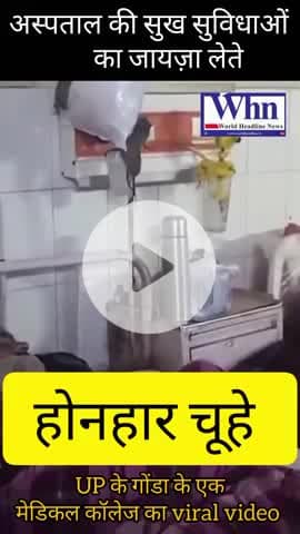 इगलास: #upgounda का #viralvideo 
सरकारी सुख सुविधाओं का निरीक्षण करते चिन्ह #uttarpradesh #yogiadityanath