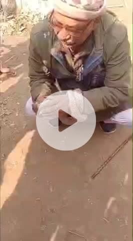 पुरनहिया: पुरनहिया में जहरीले सांप को पकड़ना शिक्षक को पड़ा महंगा, सांप काटने से हुई मौत