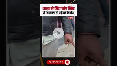 शख्स ने जिंदा सांप जैकेट से निकाला तो उड़े सबके होश #mathura #snake #snakevideo #viralvideo #viral