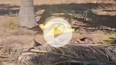 தாராபுரம்: கொக்கம்பாளையம் கிராமத்தில் பெண் கொலை குண்டடம் போலீசார் விசாரணை