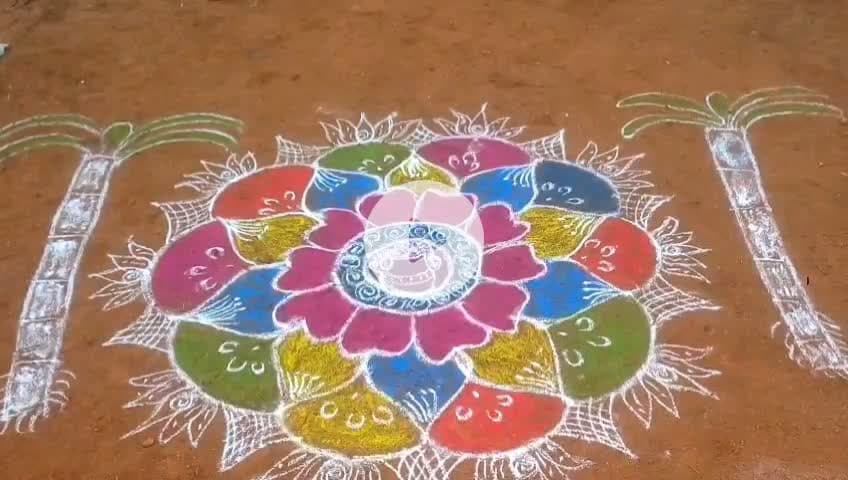ஸ்ரீரங்கம்: சிலம்புடையான் பட்டியில் மணிகண்டம்  ரோட்டரி சங்கம் சார்பாக பொங்கல் விழாவில் கிராமத்தை சேர்ந்த அனைவரும் பங்கேற்று பொங்கல் வைத்தனர்