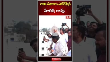 సిద్దిపేటలో గాలిపటాలు ఎగురవేసిన మాజీ మంత్రి హరీష్ రావు #telangana #harishrao #siddipet