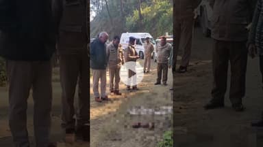 #मंडी में #ममता श*र्मसा*र: सड़क किनारे मिला नवजात का श**व, जानवरों ने बनाया निवाला पूरी खबर कमेंट