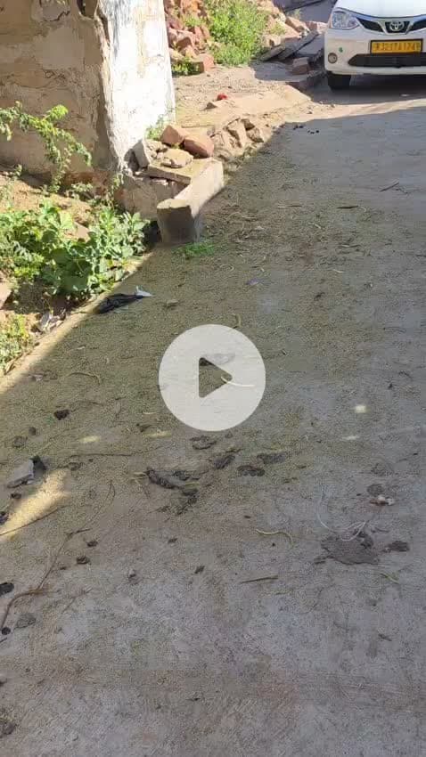 kumarwada ke andar bahut sari gandgi faili Hui Hai Koi sunvane wala Nahin Hai Kya Karen batao wala Nahin Hai