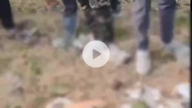 केळापूर: सिमेंट घेऊन जाणाऱ्या भरधाव ट्रकची दुचाकीला धडक,दोघांचा जागीच मृत्यू तरुणी गंभीर जखमी, उमरी गावाजवळ घटना