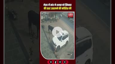 मेरठ: 'सिक्सर' की तरह शख्स को हवा में उछालने चला था सांड #Meerut #BullAttack #ViralVideo