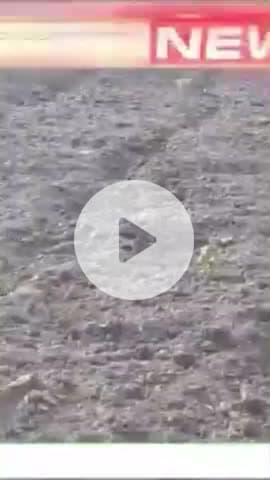 #Saraswati mein jo Hansini hua uska video hai public news