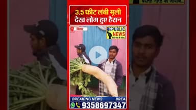 सोशल मीडिया पर वायरल हो गई मूली।VIRAL VIDEO।#trending #latesupdate #update #latestnews #breakingnews