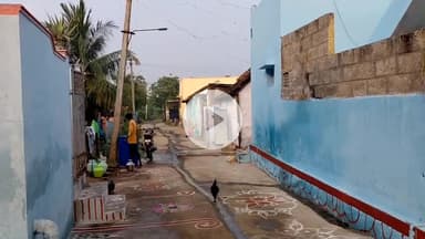 சேரன்மகாதேவி: கோபாலசமுத்திரம் உள்ளிட்ட பகுதிகளில் மாட்டுப்பொங்கல் விழா கோலாகலம். மாடுகள் முன்பு பொங்கல் வைத்து வழிபாடு.