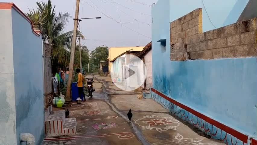 சேரன்மகாதேவி: கோபாலசமுத்திரம் உள்ளிட்ட பகுதிகளில் மாட்டுப்பொங்கல் விழா கோலாகலம். மாடுகள் முன்பு பொங்கல் வைத்து வழிபாடு.