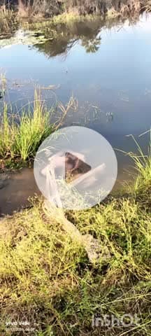 దుగ్గొండి: వెంకటాపూర్లో చేపల వేటకు వెళ్లి వ్యక్తి మృతి