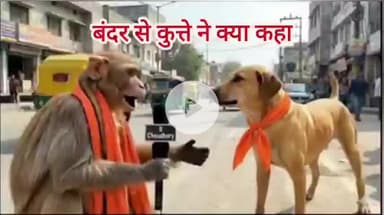 अगला प्रधानमंत्री कौन बनेगा #graminjagran #graminsamachar #localnews