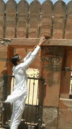 परिवर्तन पार्टी ऑफ इंडिया राष्ट्रीय पंछी संरक्षण अभियान के तहत जयपुर में पक्षियों के लिए दाना पानी की व्यवस्था की ।