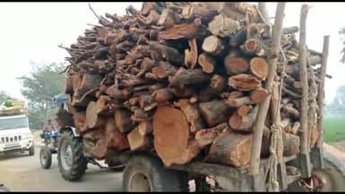 रायबरेली: गुरबक्श गंज थाने की पुलिस ने लकड़ कट्टों पर की कार्रवाई, पकड़ी गई लकड़ी व ट्रैक्टर-ट्रॉली को किया गया सीज