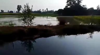 बस्ती: परसा जागीर गांव के पास नहर का पानी ओवरफ़्लो होने से किसानों की कई बीघा फसल डूबी