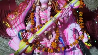 सरस्वती माता की मूर्ति की स्थापना कर विधि विधान से की गई पूजा। #सरस्वतीमाता #मूर्ति #उत्तरप्रदेश